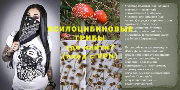 MDMA Premium VHQ Алзамай