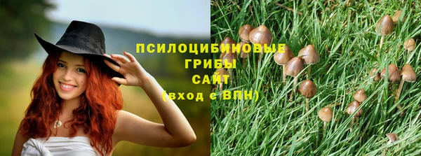 MDMA Premium VHQ Алзамай