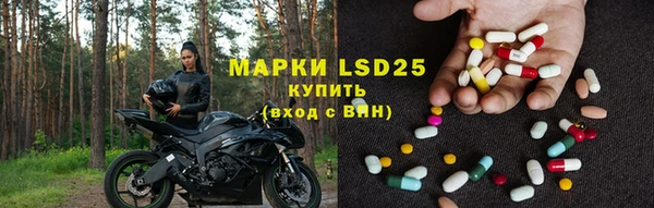 прущие грибы Алексеевка