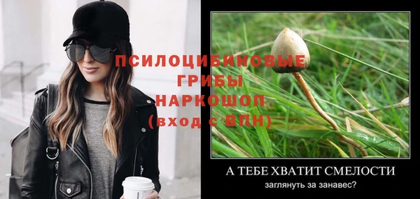 a pvp Снежинск