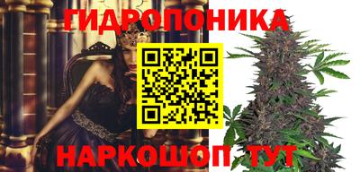 дживик Гусь-Хрустальный