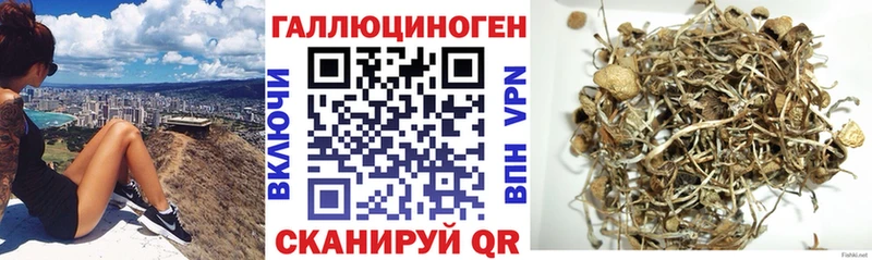 Галлюциногенные грибы прущие грибы  купить наркоту  Петрозаводск 