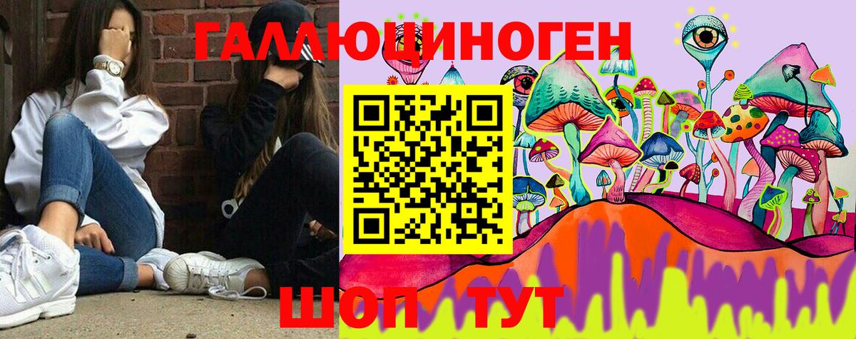 Петрозаводск  Псилоцибиновые грибы GOLDEN TEACHER  наркошоп  Вход с VPN 